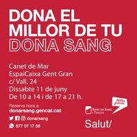 Donació sang