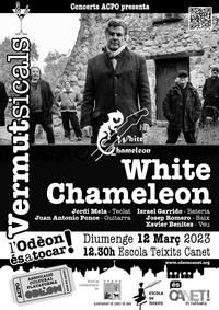 vertmitsicals 12/03