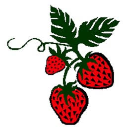 dibuix d'una maduixa