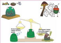 Imatge de compostage - Diputació de Barcelona