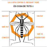 Mosquit tigre - web Consell Comarcal del Maresme