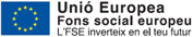 FSE - formaci&oacute;