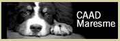 logotip CAAD Maresme