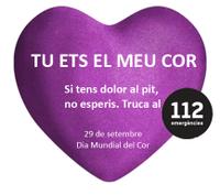 Logo Dia Mundial del cor 2013