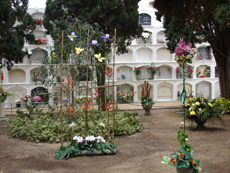 vista cementiri 2005