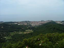 vista Canet any 2005