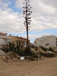 Jornada recuperació del medi ambient