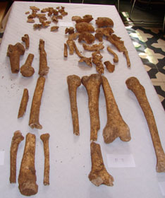 restes humanes trobades a l'Odèon