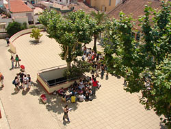 selectivitat a l'EUETTP