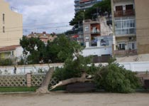 incid&egrave;ncies pluja al passeig Mar&iacute;tim
