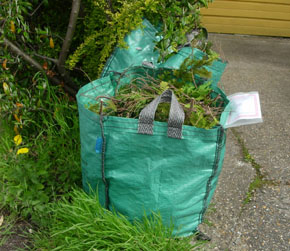 resta vegetals