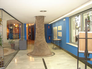 Palmera interior casa museu