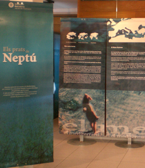 Exposici&oacute; els prats de Nep&uacute;