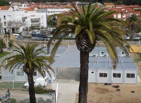 palmeres a Vil&middot;la Flora