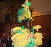 Carnaval 2008