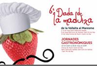 Portada fullet&oacute; 6a Diada de la maduixa