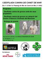 cartell desfilada canina 2010