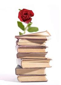 Sant Jordi 2011