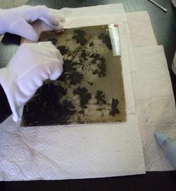 Neteja plaques de vidre