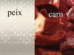 carn - peix - sessi&oacute; informativa