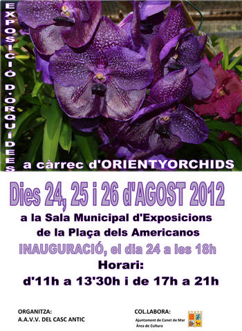 Cartell exposició Orquídees