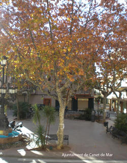 Pla&ccedil;a Maci&agrave;