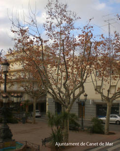 Pla&ccedil;a Maci&agrave;