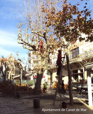 Poda pl&agrave;tans riera Sant Dom&egrave;nec