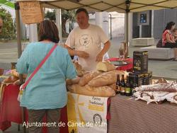 Fira Artesania - juny 2011
