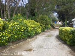 jardineria Vil&middot;la Flora