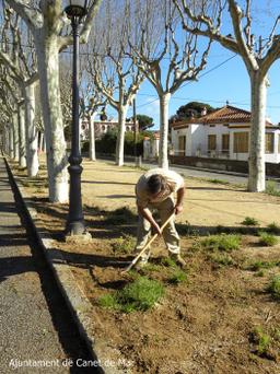 Tasques del servei de jardineria de l'Ajuntament 