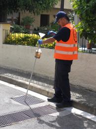 Imatge del web del Consell Comarcal - mosquit tigre