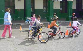 Voluntaris escolars 2009