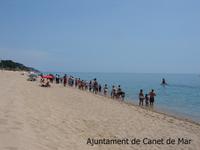 dofí a la platja