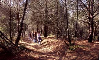 senders - foto cedida per Mapi Aramendia