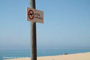 senyal platja gossos NO