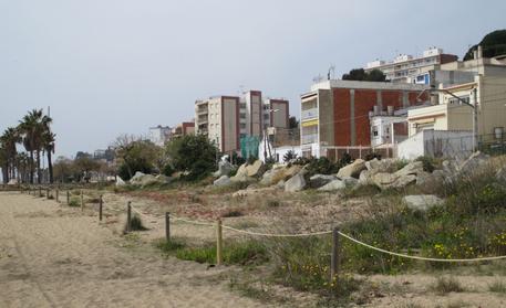 Recuperació platja - medi ambient