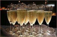 Tast cava - 2014