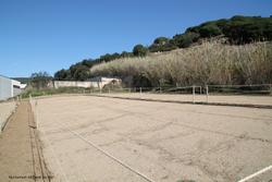 Visita horts urbans
