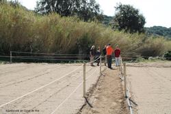 Visita horts urbans