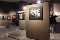 Exposici&oacute; Eugeni Forcano - octubre 2016