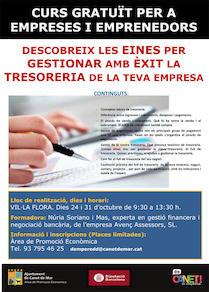 Curs eines per gestionar la Tresoreria empresarial