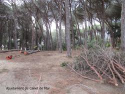 Treballs forestals parc Santinya - abril 2016