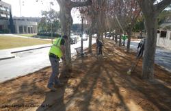 Brigada a la ronda St Elm