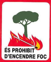 foc al bosc - imatge