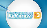 marat&oacute; tv3- diploma