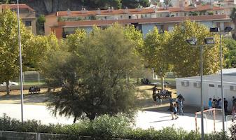 pati institut 2011