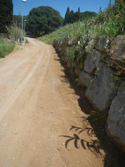 obres cam&iacute; can goday