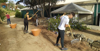 primeres oportunitats jardineria