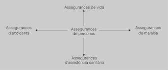 assegurances imatge web